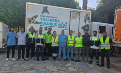 Sahipsiz hayvanlar için İzmir modeli nasıl işliyor?