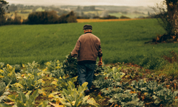 İzmir'de yeni sistem tanıtıldı: Çiftçiye reçete zorunluluğu geliyor