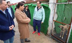 Foça Belediyesi’nden can dostlara tam destek