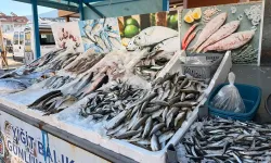 Ege Denizi'nde lodos freni: Balıkçılar limana, fiyatlar yukarıya!