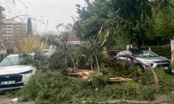 Buca Belediyesi’nden fırtına ve sağanak mesaisi