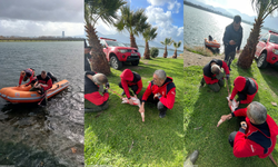 İnciraltı’nda nefes kesen kurtarma: Flamingo hayata döndürüldü