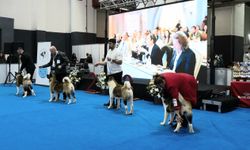 PET İZMİR 2026, 20 bini aşkın ziyaretçiyi ağırladı