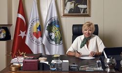 Ege pamuğuna yağış darbesi: Rekolte yüzde 15’e kadar düşebilir