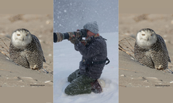 Seferihisar’dan Amerika’ya uzanan doğa tutkusu