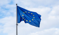 AB liderleri Grönland gündemiyle olağanüstü toplanıyor