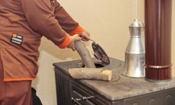 Konak’ta kış dayanışması: Budanan ağaçlar yuvaları ısıtıyor