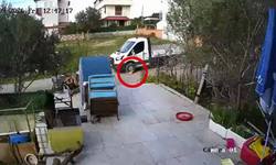 Seferihisar’da köpeğin ölümüne neden olan olay kamerada