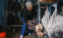 Güzelbahçe’de Halk Eğitim ve İlçe Tarım iş birliğiyle kurs kayıtları sürüyor