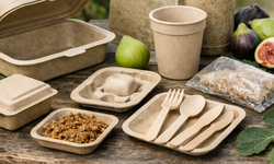 İncir atıklarından çevre dostu ambalaj dönemi başlıyor