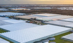 Kınık Organize Tarım Bölgesi tarımda Katma Değerli Üretimin yeni merkezi olma yolunda