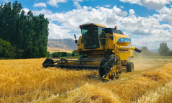 Çiftçilere 1,6 milyar TL’lik tarımsal destek ödemesi hesaplara aktarılıyor