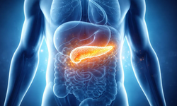 Pankreas kanserinde çığır açan gelişme: Tümörler farelerde yok oldu