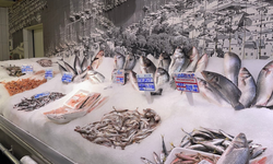 Ege’de balıkçılar denize çıkamıyor: Tezgahlarda geçici zam uyarısı