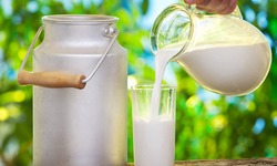 Ulusal Süt Konseyi duyurdu: Çiğ süt fiyatı belli oldu