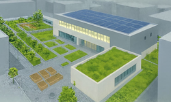 İzmir çatılarda yeşil devrimi başlatıyor