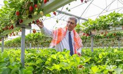 İzmir, Milano Gıda Politikası Paktı’na katıldı: Gıda güvenliğinde küresel sahneye çıkıyor