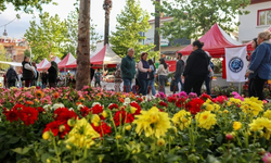İzmir’de çiçek tutkunları Bayındır’da buluşuyor: 27'inci Uluslararası Çiçek Festivali başlıyor
