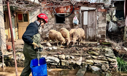 İzmir Büyükşehir ekipleri tüm canlılar için aynı özveriyle çalışıyor