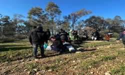 Aydın'da şok olay: Kaçak göçmenleri 'dağın arkası İstanbul' diyerek, araziye bırakmışlar
