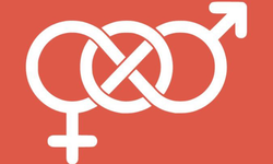 Cinsiyet değişikliği sürecine yeni ve daha sıkı düzenleme taslağı hazırlanıyor