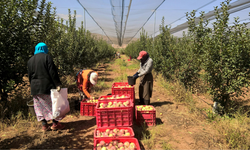SGK uzmanı Elmen açıkladı: Çalışanların Ramazan ayındaki izin hakları neler?
