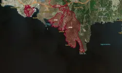 İzmir’in ormanlarında "İnşaat" takibi: Bakanlık tahsisleri mercek altında