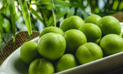 Türkiye’den ihraç edilen erikler yüksek fiyatla pazar buluyor