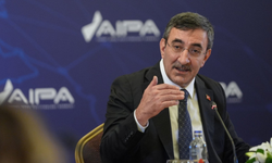 Cumhurbaşkanı Yardımcısı: Dalgalanmalar olabilir ama genel istikamet daha düşük enflasyona doğru