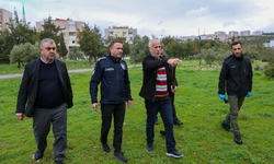 Buca’da 8 hayvanın şüpheli ölümü: İnceleme başlatıldı, olayın tarihi netleşti