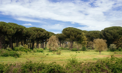 İzmir’in doğası madencilik planlarıyla tehdit altında