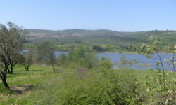 İzmir’de 10 maden sahası ihaleye çıkıyor: Bergama ve Madra Dağı dikkat çekiyor