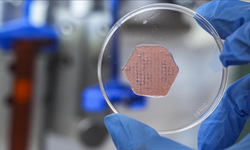 İYTE’de geliştirilen probiyotik yara örtüsü kronik yaraların iyileşmesine umut oluyor