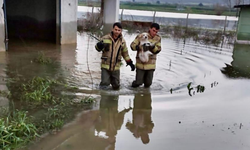 İzmir İtfaiyesi tüm canlıların imdadına yetişiyor