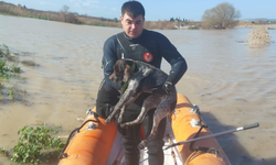 Sağanakta mahsur kalan canlar Büyükşehir ekipleriyle kurtarıldı