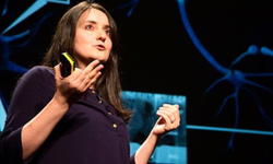 Türk bilim insanı Duygu Kuzum’dan bellek tabanlı yapay zekâ hesaplama mimarisinde önemli adım