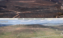 Orman yangını ile zarar gören Yamanlar, yeşil rengine kavuşuyor