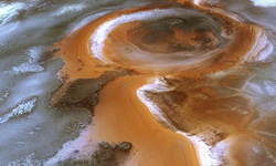 Bilim insanlarını şaşırtan buluş: Ekmek mayası Mars’ta bile hayatta kalabiliyor