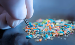 Prostat kanseri dokularında mikroplastik alarmı