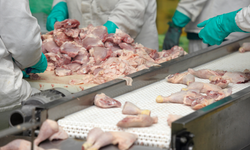 Ticaret Bakanlığı’ndan tavuk eti için kritik karar: İhracat durduruldu
