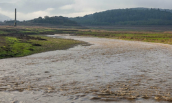 ZMO İzmir Şube Başkanı uyardı: Yağışlar muhafaza edilmezse kuraklık devam eder