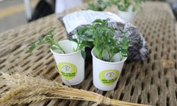 Efes Selçuk’tan Türkiye’ye yerel tohum bereketi