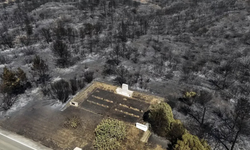 Yamanlar Dağı’nın ağaçları, yangın ve imar kararlarıyla yok oldu