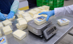 İZTARIM AŞ’den piyasaya meydan okuyan fiyat: 500 gram kaşar 165 TL