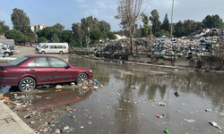 Buca’da sel çöpleri yola sürükledi: Mahalleli kokuya tepkili