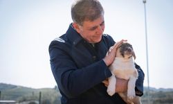 Başkan Tugay’dan İzmirlilere çağrı: Sahiplenilmemiş tek bir hayvan kalmasın