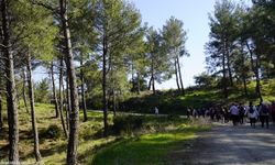 Efes Mimas Yolu’nda gençlik yürüyüşü: 250 katılımcı baharı doğada karşıladı