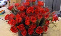 İzmir’de 8 mart hareketliliği: Kırmızı karanfile yoğun talep