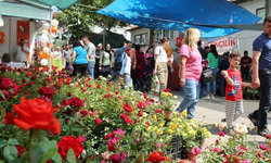 Bayındır’da çiçek şöleni başlıyor