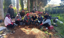 Çeşme damla sakızı yetiştiriciliği KKTC’ye taşınıyor: Kadın girişimciler üretimde rol alacak